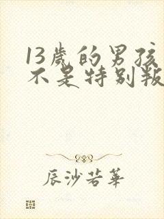 13岁的男孩是不是特别叛逆