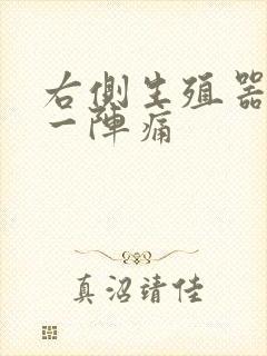 右侧生殖器一阵一阵痛