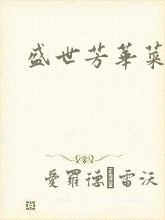 盛世芳华菜谱封面