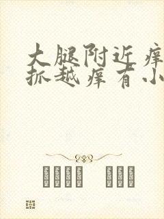 大腿附近痒痒越抓越痒有小红疙瘩