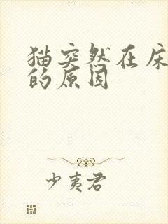 猫突然在床上尿的原因