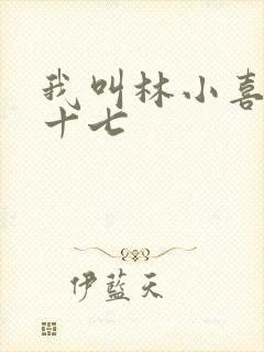 我叫林小喜今年十七