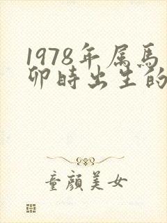1978年属马卯时出生的命运封面