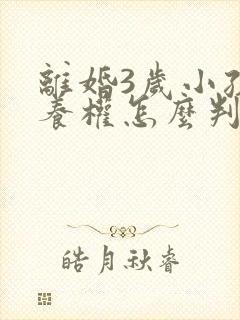 离婚3岁小孩抚养权怎么判定封面