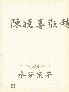 陈晓喜欢赵丽颖