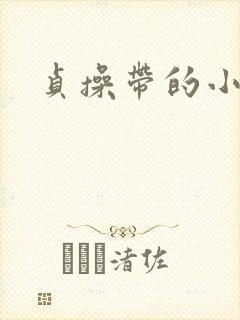贞操带的小说封面