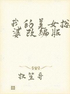 我的美女总裁老婆 改编版