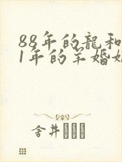 88年的龙和91年的羊婚姻怎么样