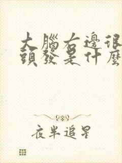 大脑右边很多白头发是什么原因引起的封面