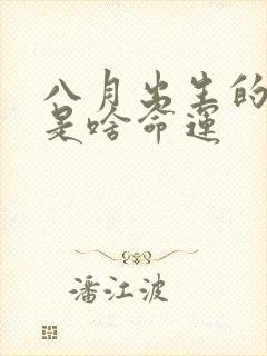 八月出生的男孩是啥命运