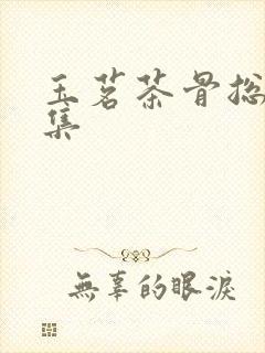 玉茗茶骨总共几集