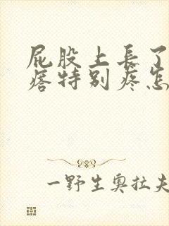 屁股上长了个疙瘩特别疼怎么办