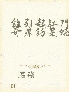 能引起肛门周围奇痒的是蛲虫病吗