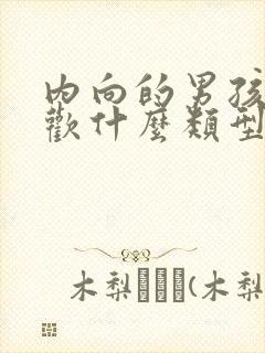 内向的男孩子喜欢什么类型的女孩子