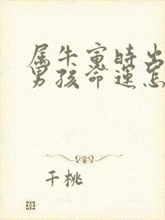 属牛寅时出生的男孩命运怎么样