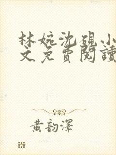 林婉沈砚小说全文免费阅读最新章节封面