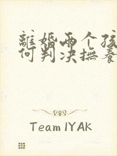 离婚两个孩子如何判决抚养权