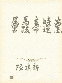 属马亥时出生的男孩命运怎么样