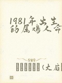 1981年出生的属鸡人命运怎样封面