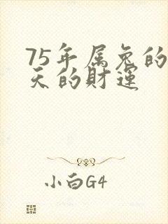 75年属兔的今天的财运