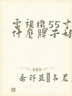 电视机55寸选什么牌子好