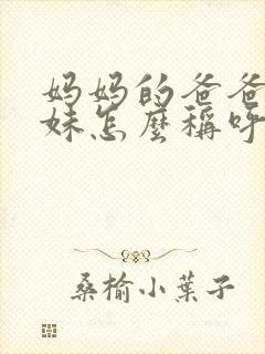 妈妈的爸爸的妹妹怎么称呼封面