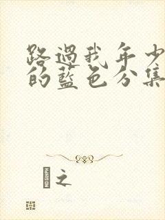 路过我年少时光的蓝色分集剧情