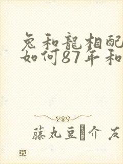 兔和龙相配婚姻如何87年和88年