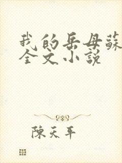 我的岳母苏霈真全文小说