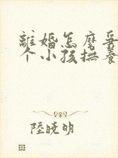 离婚怎么争取两个小孩抚养权