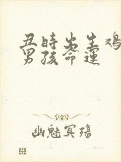 丑时出生鸡年的男孩命运