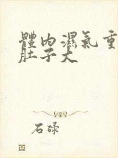 体内湿气重导致肚子大