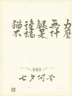 猫后腿无力走路不稳是什么原因封面