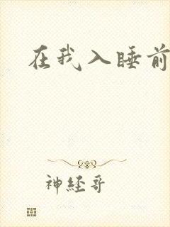 在我入睡前封面