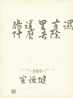 肠道里有湿气用什么去除