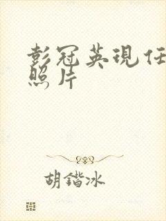 彭冠英现任妻子照片