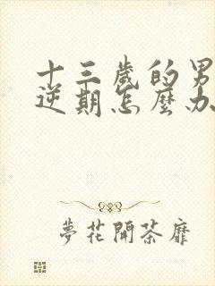 十三岁的男孩叛逆期怎么办