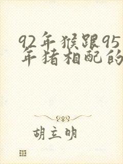 92年猴跟95年猪相配的婚姻好吗