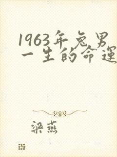 1963年兔男一生的命运详解