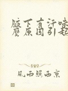 腋下有汗味是什么原因引起的