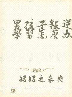 男孩子叛逆期不学习怎么办封面