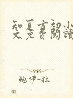 知夏方初小说全文免费阅读最新章节