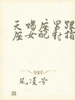 天蝎座男跟金牛座女配对指数封面