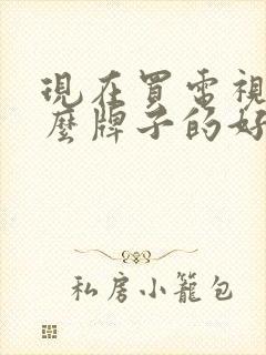 现在买电视机什么牌子的好封面