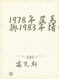 1978年属马与1983年猪相配吗
