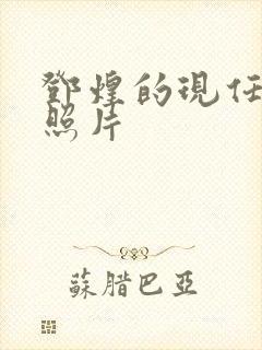 邓煌的现任丈夫照片