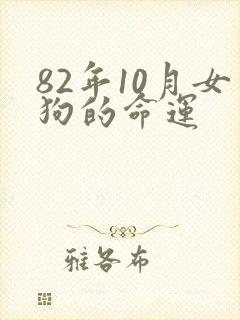 82年10月女狗的命运