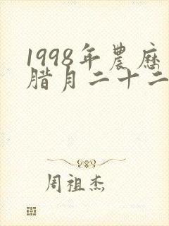 1998年农历腊月二十二是什么命