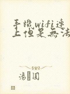 手机wifi连上但是无法上网