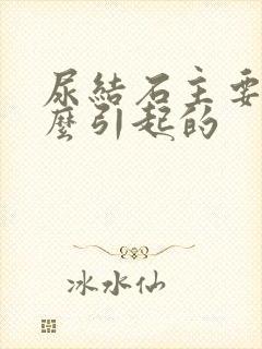 尿结石主要是什么引起的